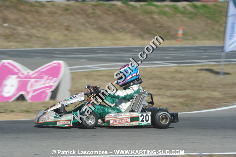 DSC_ (1507).JPG